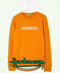 Wondrous Orange Sweatshirt